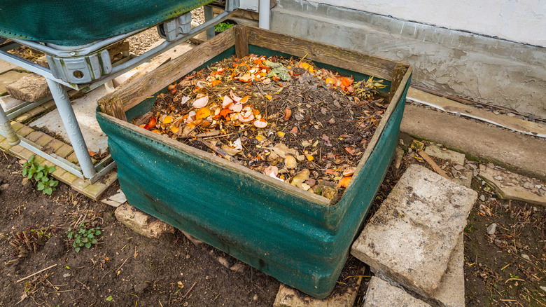 A compost bin in a garden.