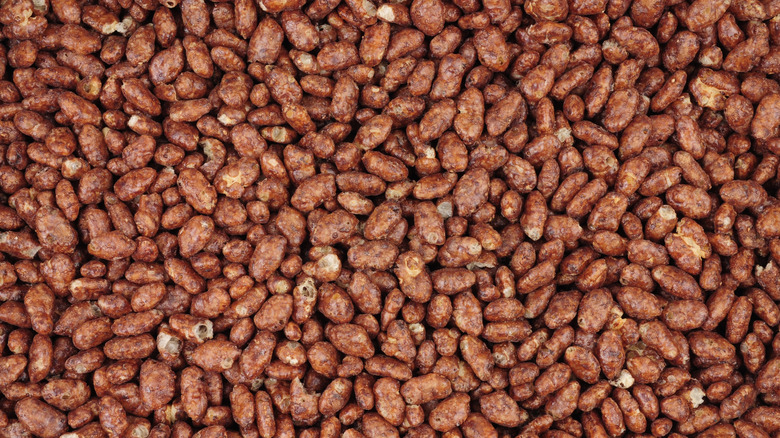 Close-up of Cocoa Krispies cereal