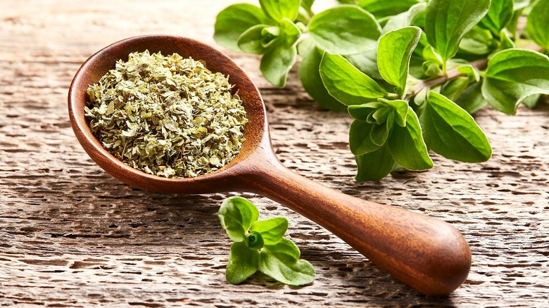 Dried Oregano in the bowl of a wooden spoon next to a bunch of fresh oregano