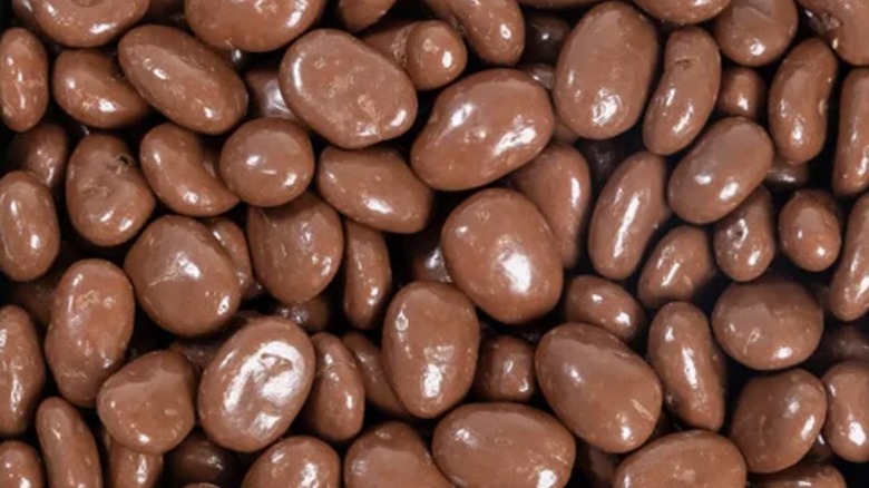 chocolate covered pecans