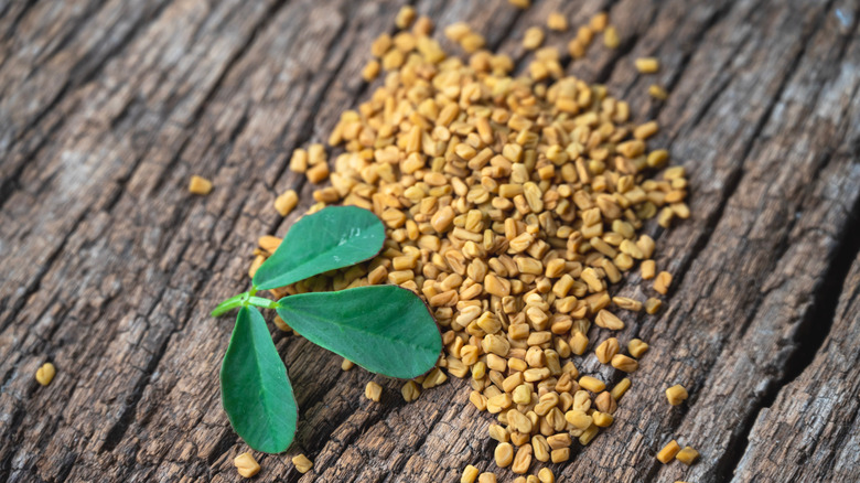 Pile of fenugreek seeds on wooden background