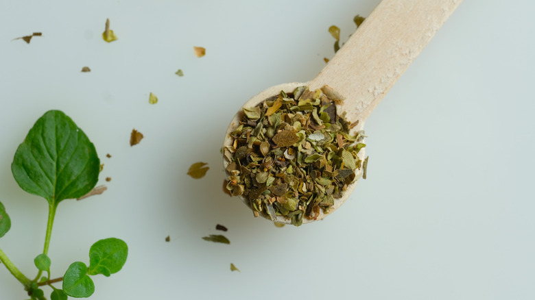 Wooden spoon of dried oregano and a sprig of fresh oregano on a white table