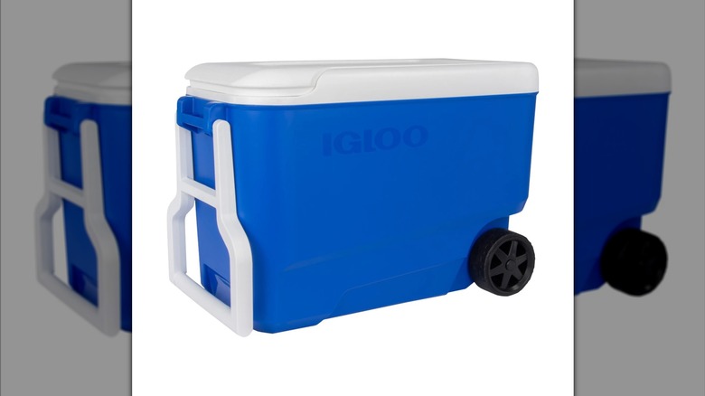Large blue Igloo cooler with black wheels, a white handle, and a white lid on a white background.