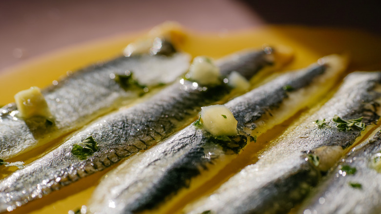 Close of up anchovies in sauce