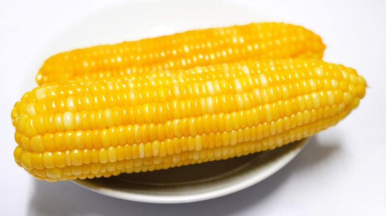 Corn on the cob