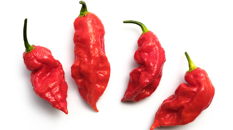 Ghost peppers on white background