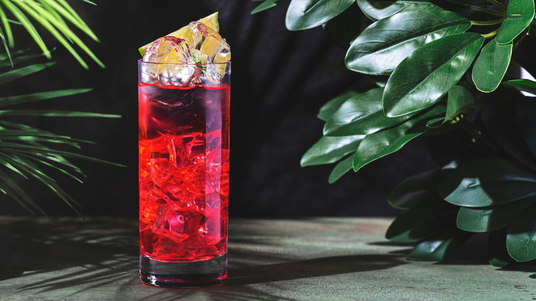 an El Diablo cocktail behind various tropical plants