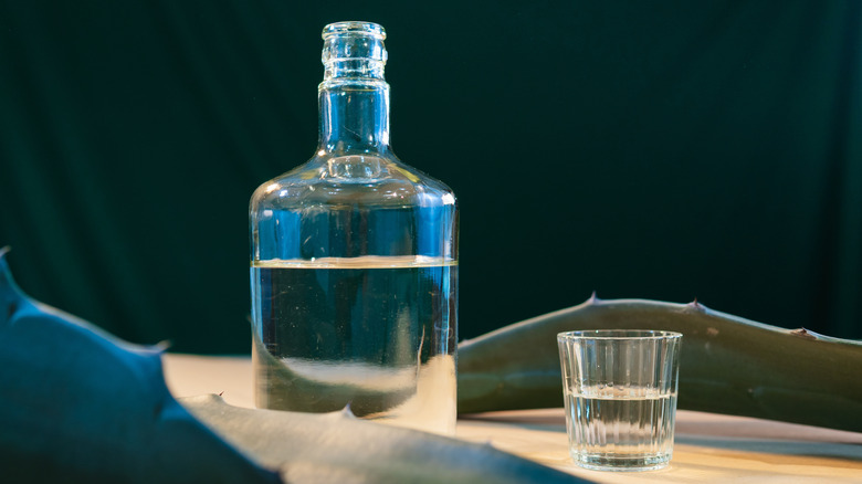 A mezcal bottle with a shot glass and agave leaf next to it.