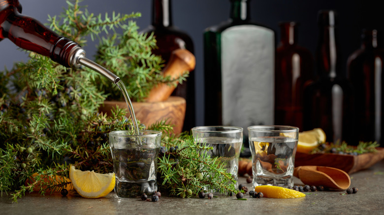 Bottle pouring shots of gin, which are surrounded by lemon slices and juniper berries and branches