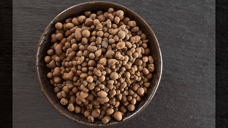 Bowl of cocoa puffs