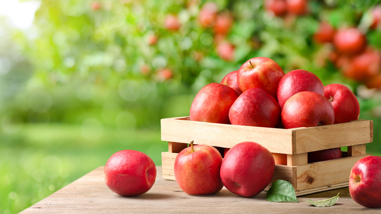 apples in a wooden crate outdoors