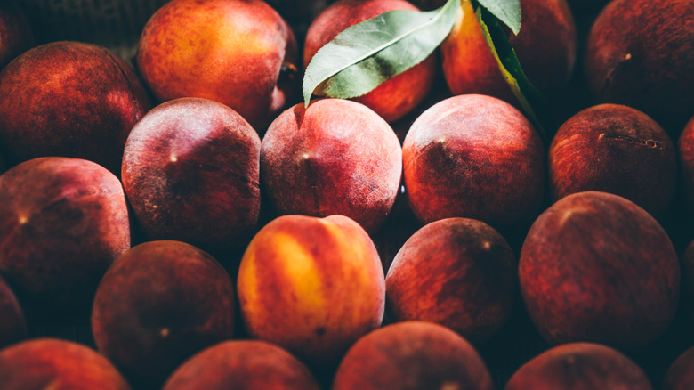 ripe peaches in a shaft of sunlight
