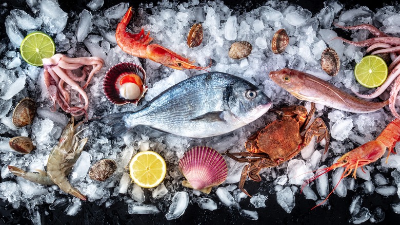 various seafood on ice
