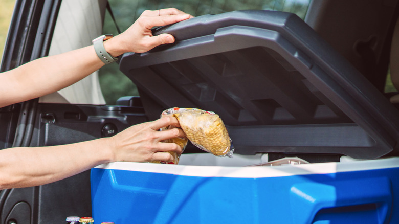 A woman packing corn into a cooler
