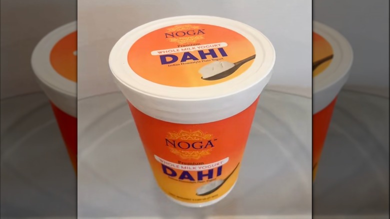 Container of Noga Whole Milk Dahi