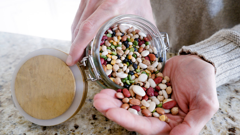A man pours mixed lentils into his hand from a mason jar
