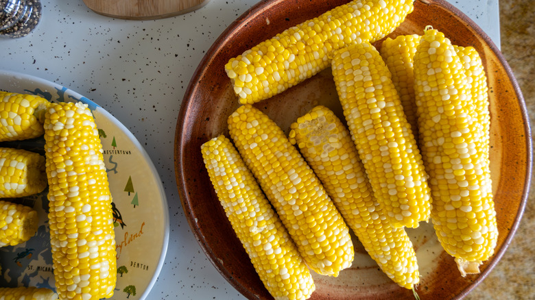 Several pieces of corn on the cob on plates.