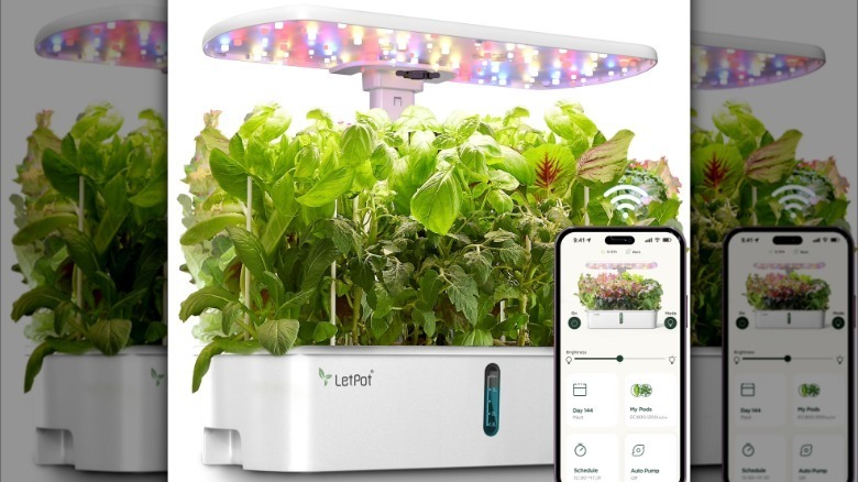 LetPot 10-Pod Hydroponics Growing System