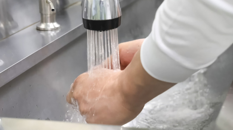 Person washing their hands in a restaurant kitchen sink