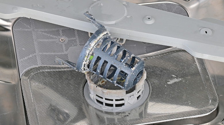 Dirty dishwasher filter