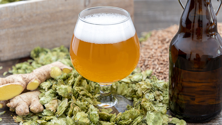 Wheat beer in a glass with fresh ginger on the side