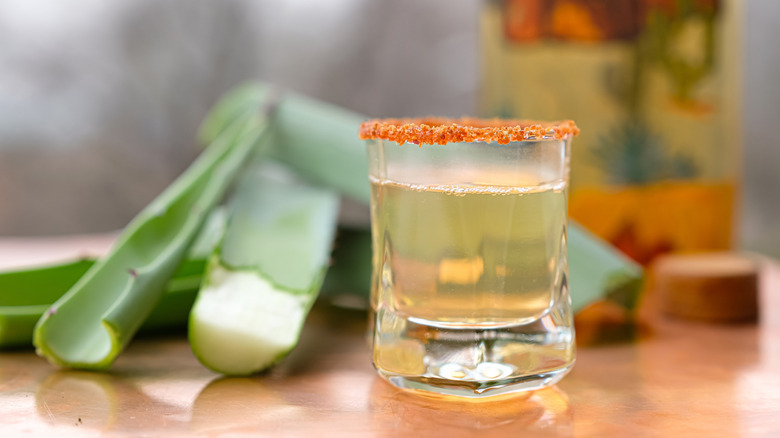 A shot of mezcal on a tabletop next to pieces of agave plant
