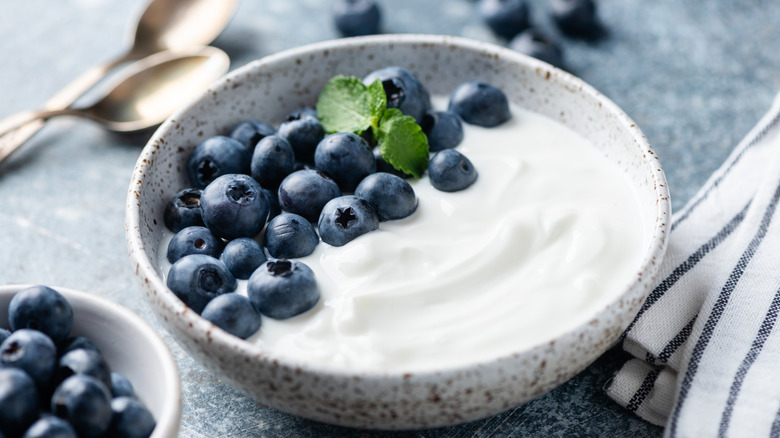 Bowl of plain yogurt with blueberries on the side next to spoon on counter.