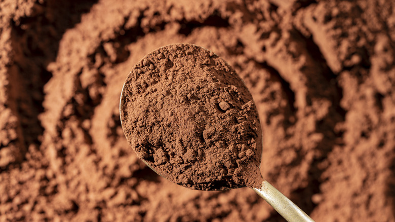 Cocoa powder on a spoon viewed from above with more cocoa powder in background