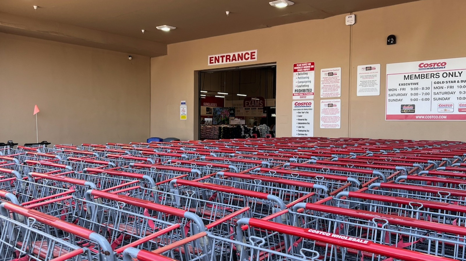 6 Can't-Skip Costco Finds To Add To Your Cart In June 2026