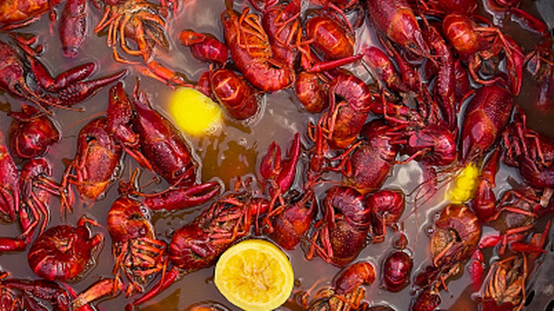Lots of crawfish being boiled in a pot with lemon slices