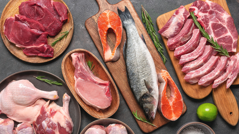 Raw salmon, pork, chicken, and beef on wood or gray plates or surfaces.