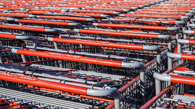 Rows of Costco shopping carts