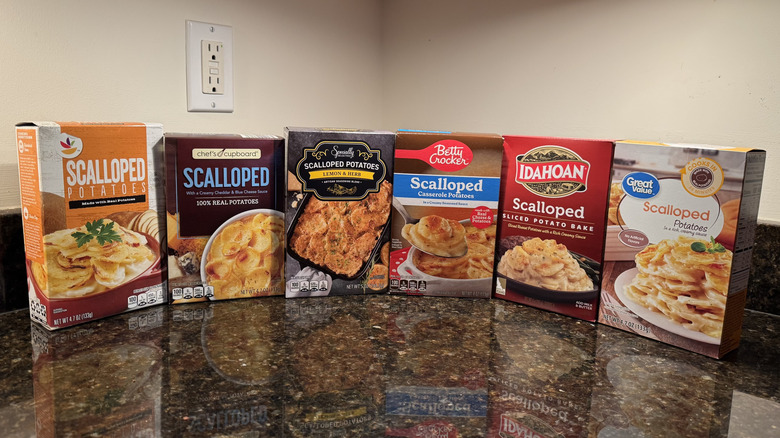 Scalloped potatoes on countertop