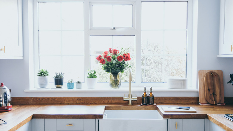 modern, bright kitchen with sunlight coming through