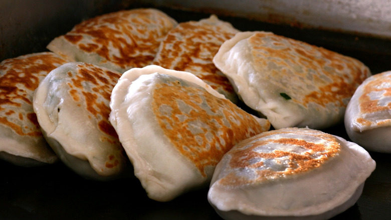 close-up shot of pan-fried dumplings