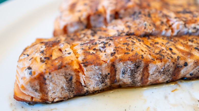 A closeup of grilled salmon fillets on a white plate
