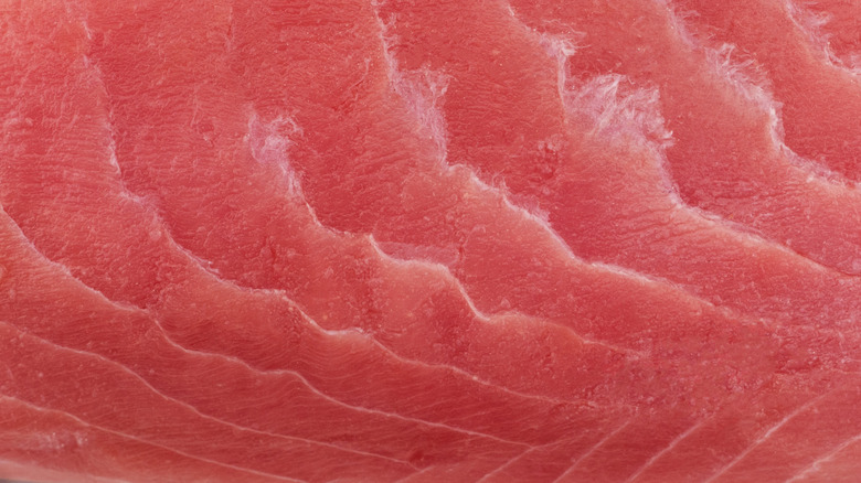 A closeup of a raw fish filet