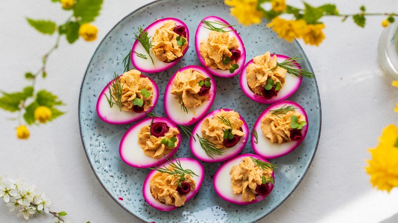 purple deviled eggs on a plate