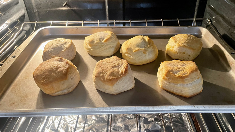 Various canned biscuits baking in the oven