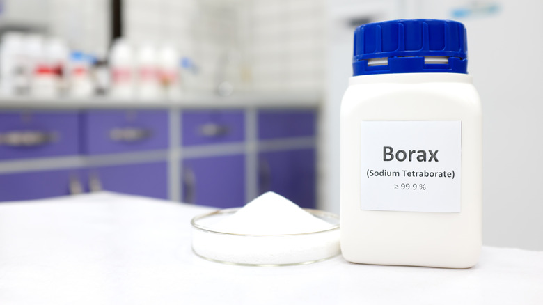 A bottle of Borax sitting next to a petri dish containing white powder in a lab