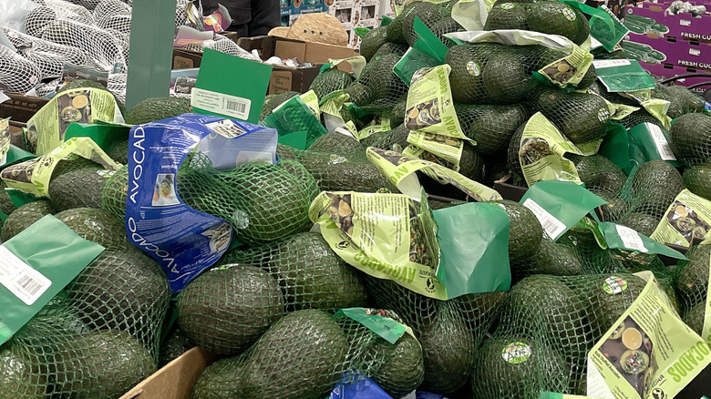 Bags of large avocados in nets at Costco