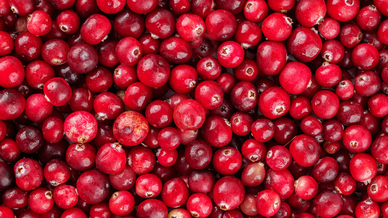 aerial view of cranberries