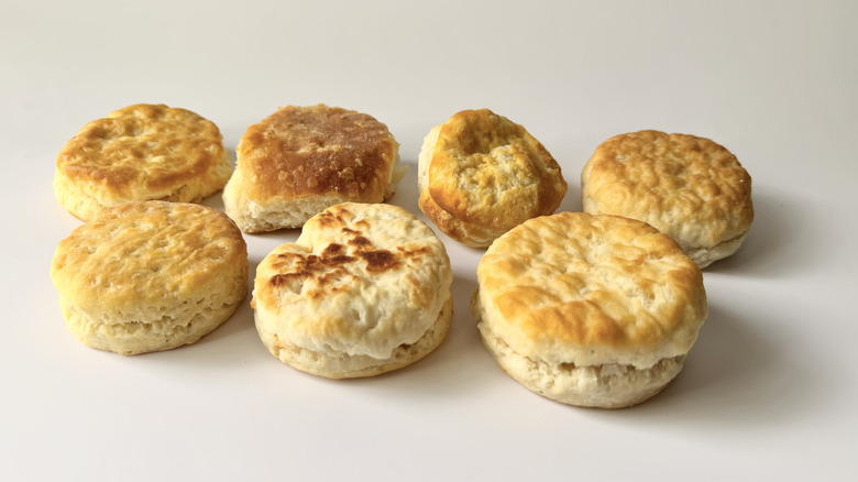Assorted biscuits in two rows on a white surface