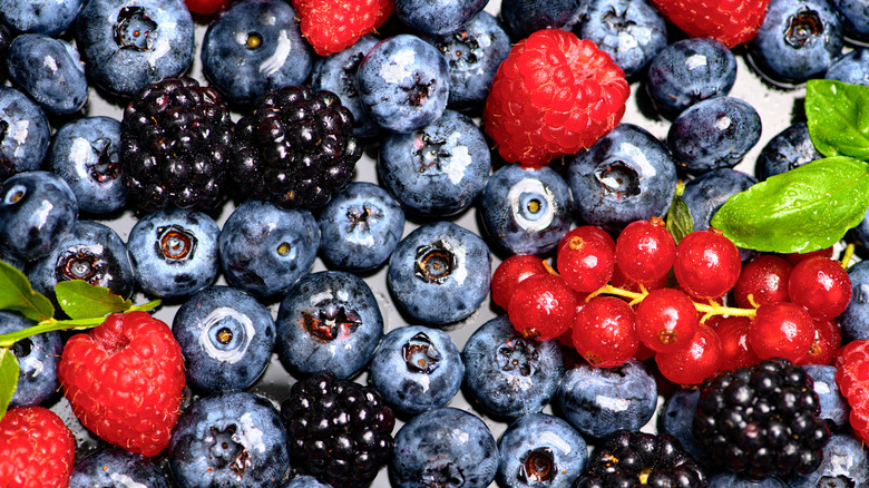 Bowl of mixed berries, including blueberries, strawberries, raspberries, and blackberries
