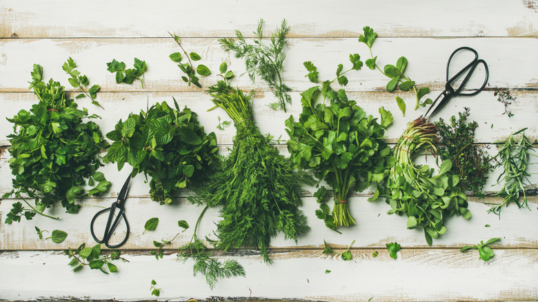 Variety of fresh soft herbs on a wooden surface