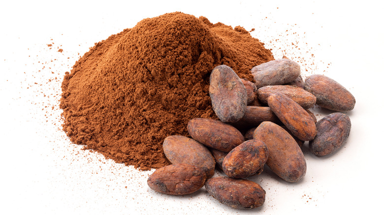 Raw cacao powder with whole cocoa beans