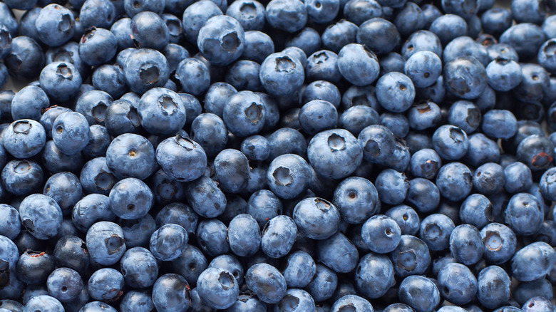Blueberries
