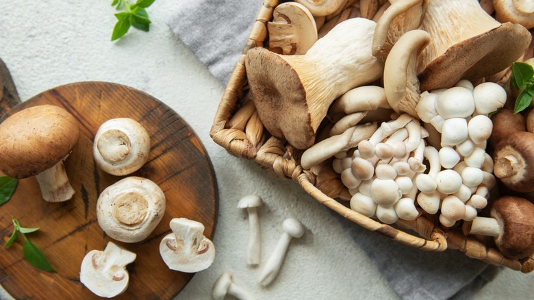Various types of raw mushrooms on a wooden board and in a basket