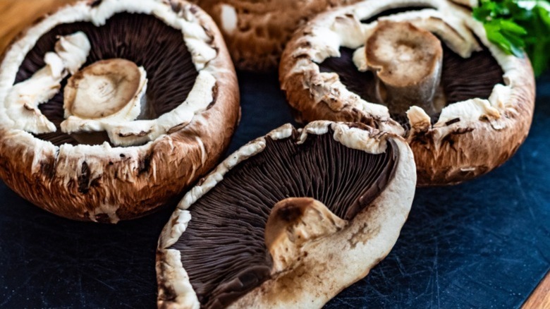 Raw portobello mushrooms lying face-up on a dark blue background