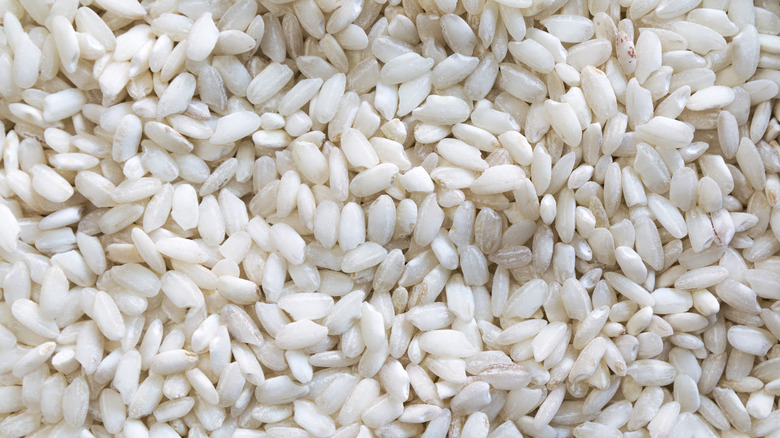 close-up shot of arborio rice